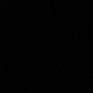 Meet your Posher, Sadie